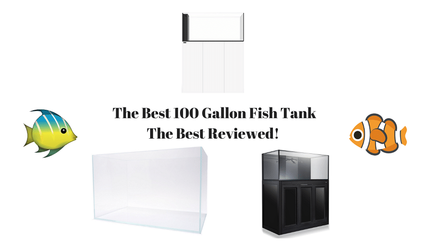 Best 100 Gallon Fish Tank - Top 5 Picks for 2022 - AquariumStoreDepot