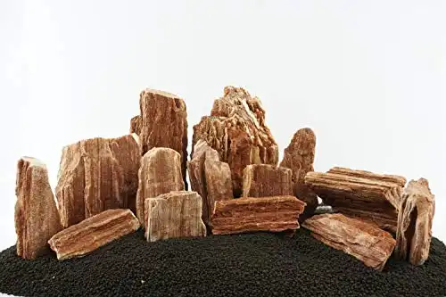 Lifegard Aquatics Redwood Petrified Stone