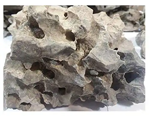 Texas Holey Rock Natural Limestone