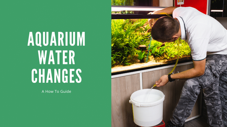 Aquarium Water Change A How To Guide AquariumStoreDepot
