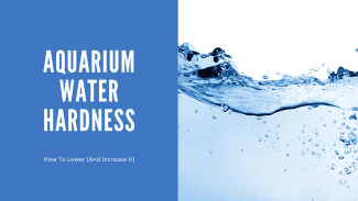 View of All About Aquarium Water Hardness (And How to Lower - and Increase It ...