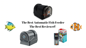 Best Automatic Fish Feeder