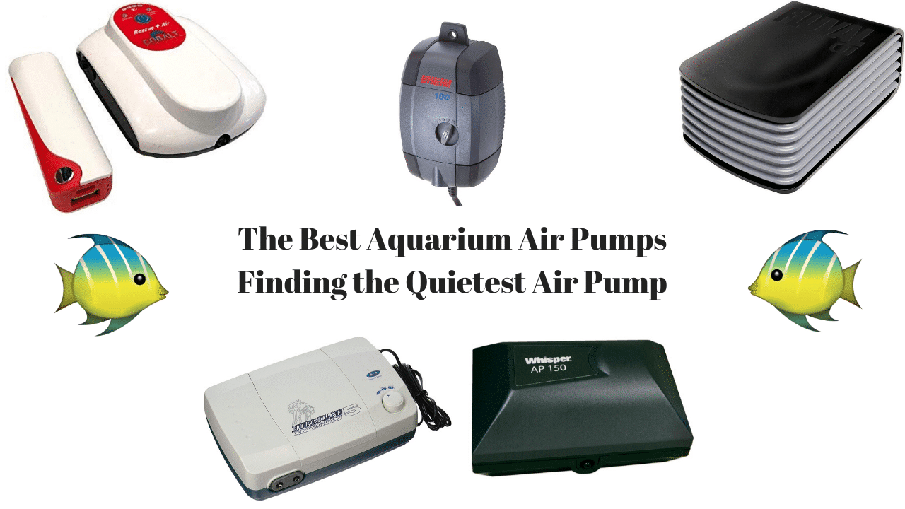 Best Aquarium Air Pump
