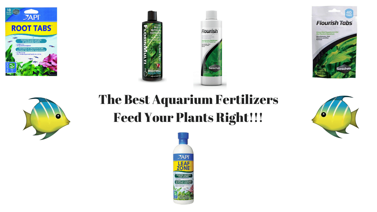 Best Aquarium Plant Fertilizer