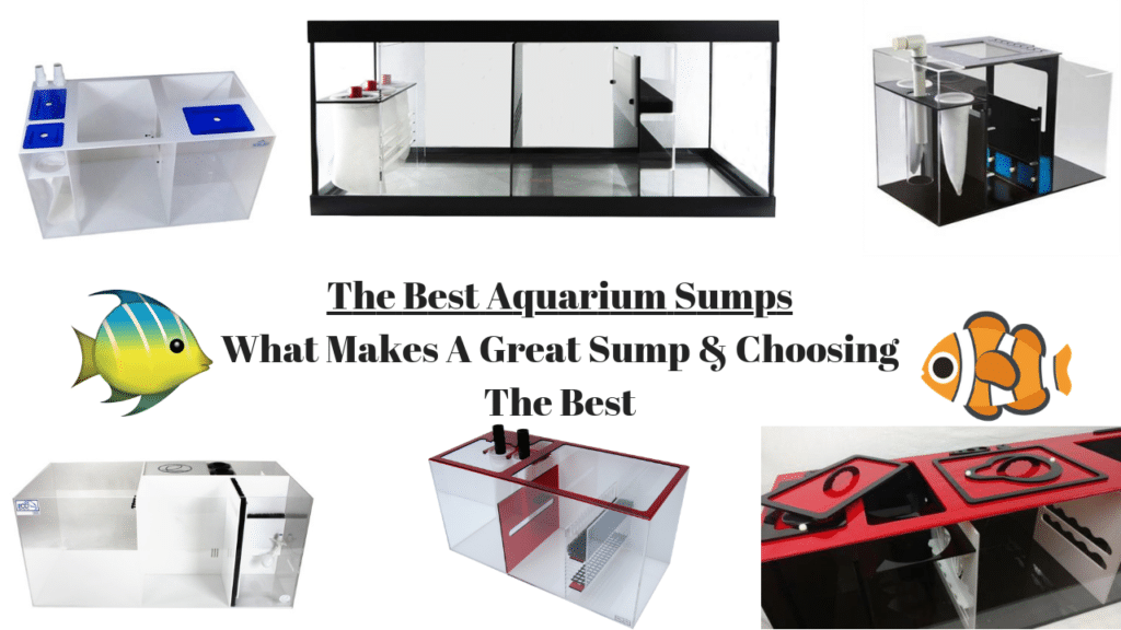 Refugium Layout The 9 Best Aquarium Sump & Refugiums For 2026 - Tested And Reviewed