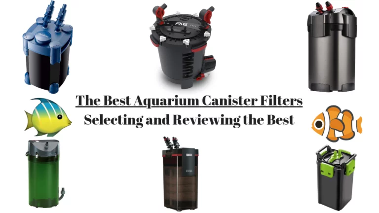 Best Canister Filter Reviews
