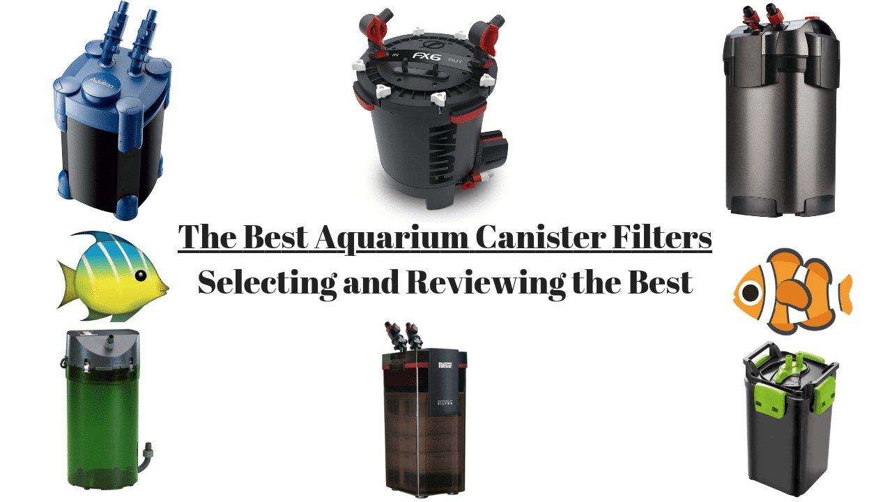 Best Canister Filter