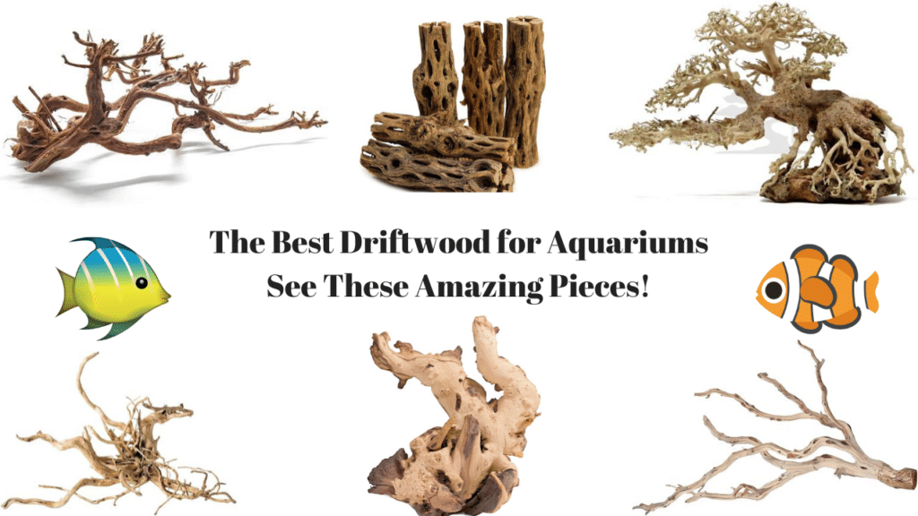 The 9 Best Driftwood For Aquariums For 2024 Reviewed
