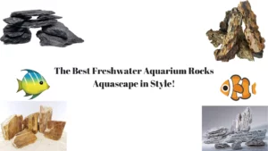 Best Rocks For Freshwater Aquarium