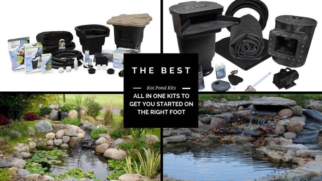 The 7 Best Koi Pond Kits Of 2024 [Tested & Reviewed]