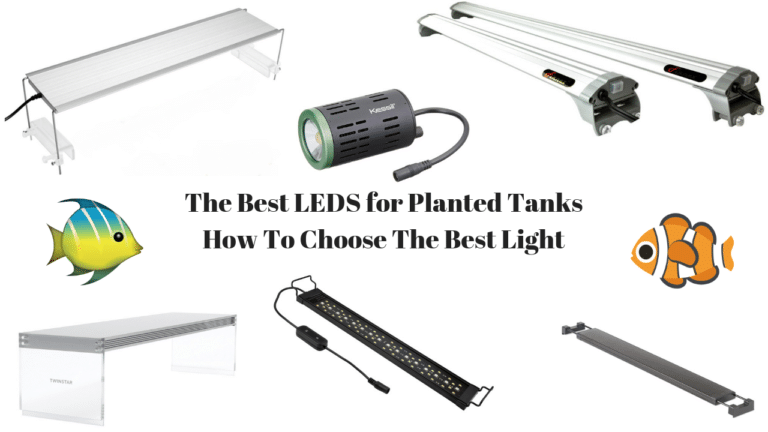 Image showcasing Choose from these best LED Lights for Planted Aquariums
