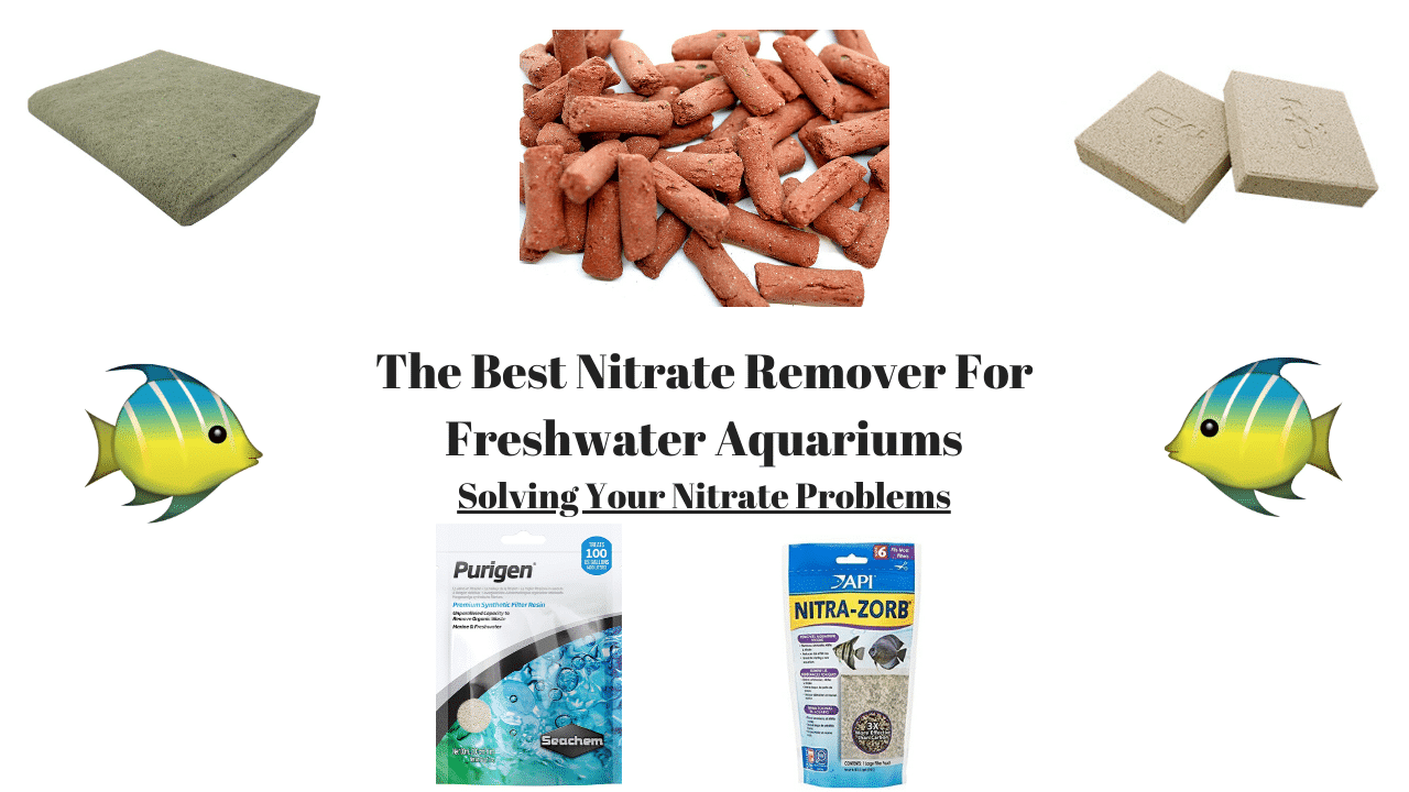 The Best Nitrate Remover for Freshwater Aquariums