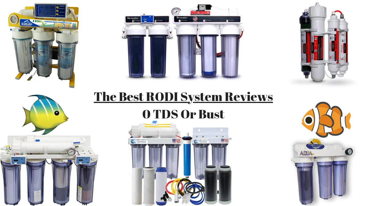 Best RODI Systems