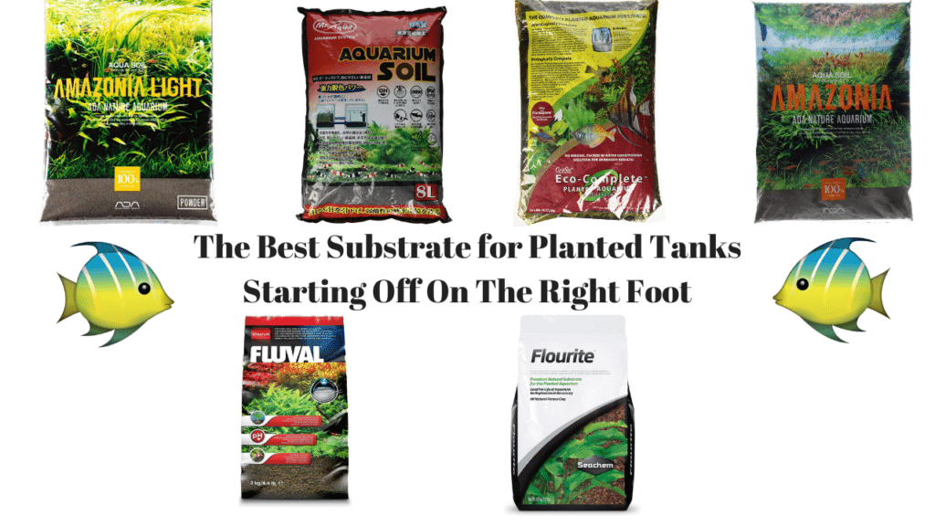 The 7 Best Substrate for Planted Tanks For 2024 [Tested And Reviewed]