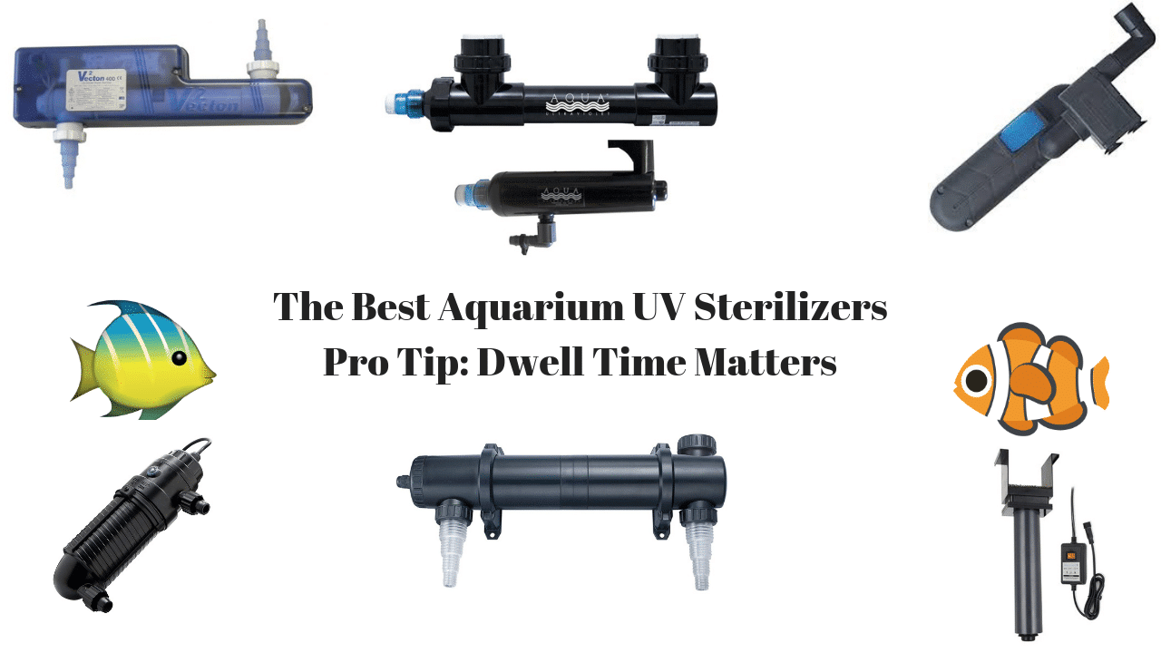 Best Aquarium UV Sterilizer