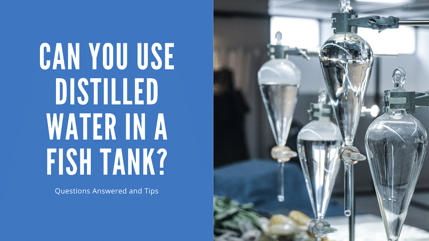 Can You Use Distilled Water In A Fish Tank (questions Answered and Tips) - AquariumStoreDepot