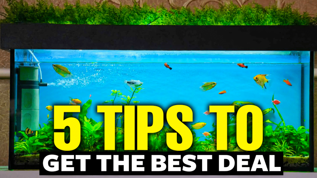 Cheap Fish Tanks 5 Tips to Get You the Best Deal AquariumStoreDepot