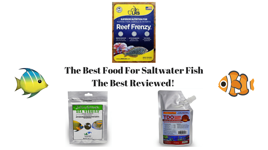 Food For Saltwater Fish