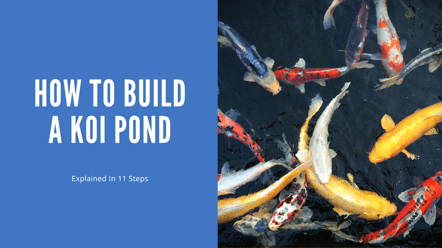 How To Build A Koi Pond