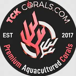 TCK Corals