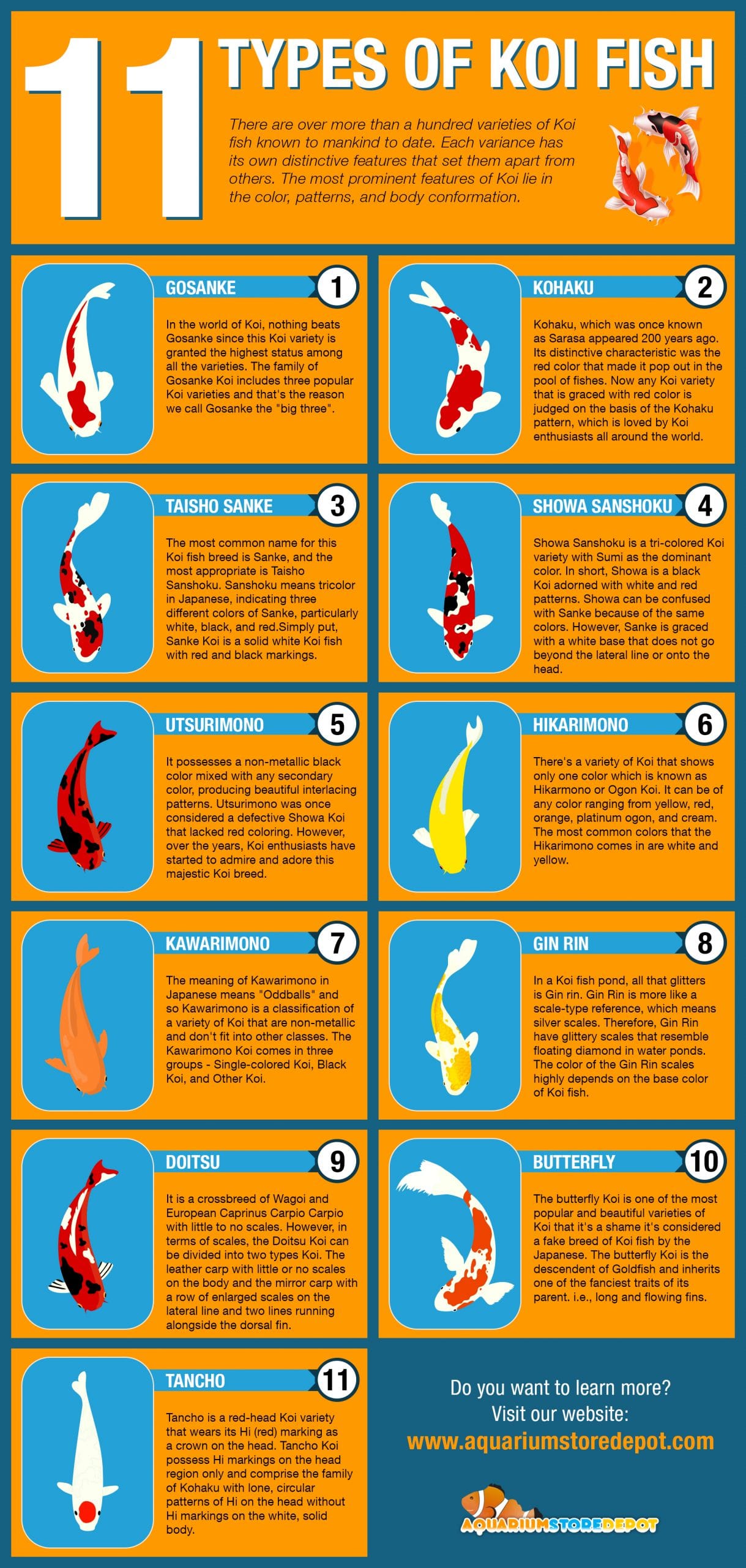 The 11 Most Popular Types Of Koi For Your Pond - AquariumStoreDepot