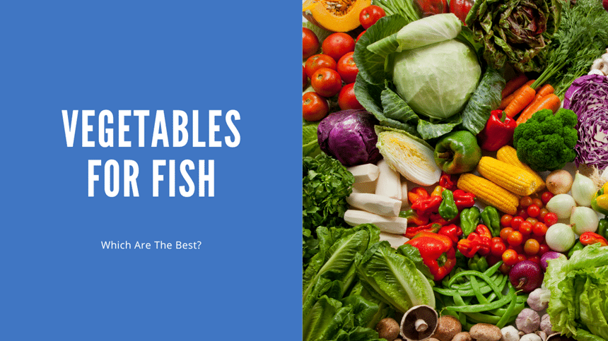 Vegetables For Fish