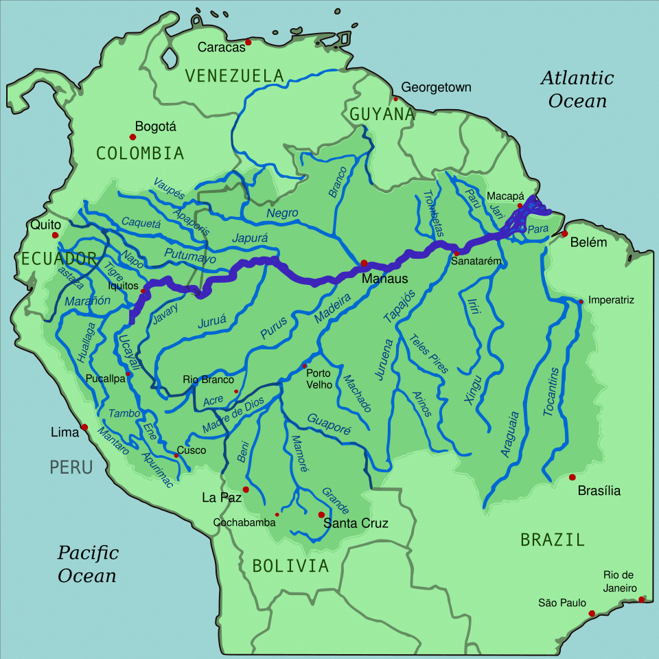 Map of the Amazon River basin in South America — native habitat region of the bleeding heart tetra