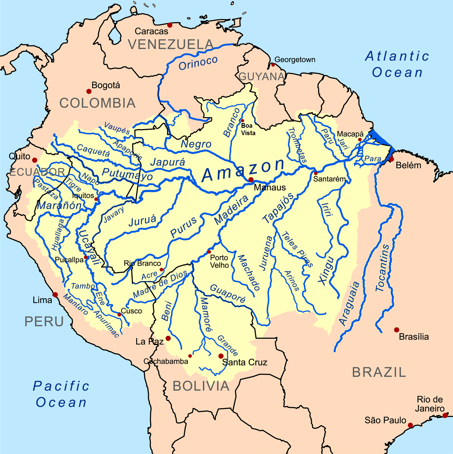 Map of the Amazon River drainage basin in South America showing the native range of the head and tail light tetra