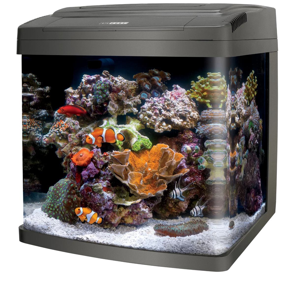 Coralife Biocube